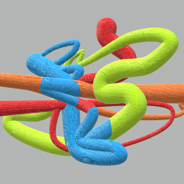 A computer-generated image of several bright-coloured tubular objects intertwined together against a neutral grey background.